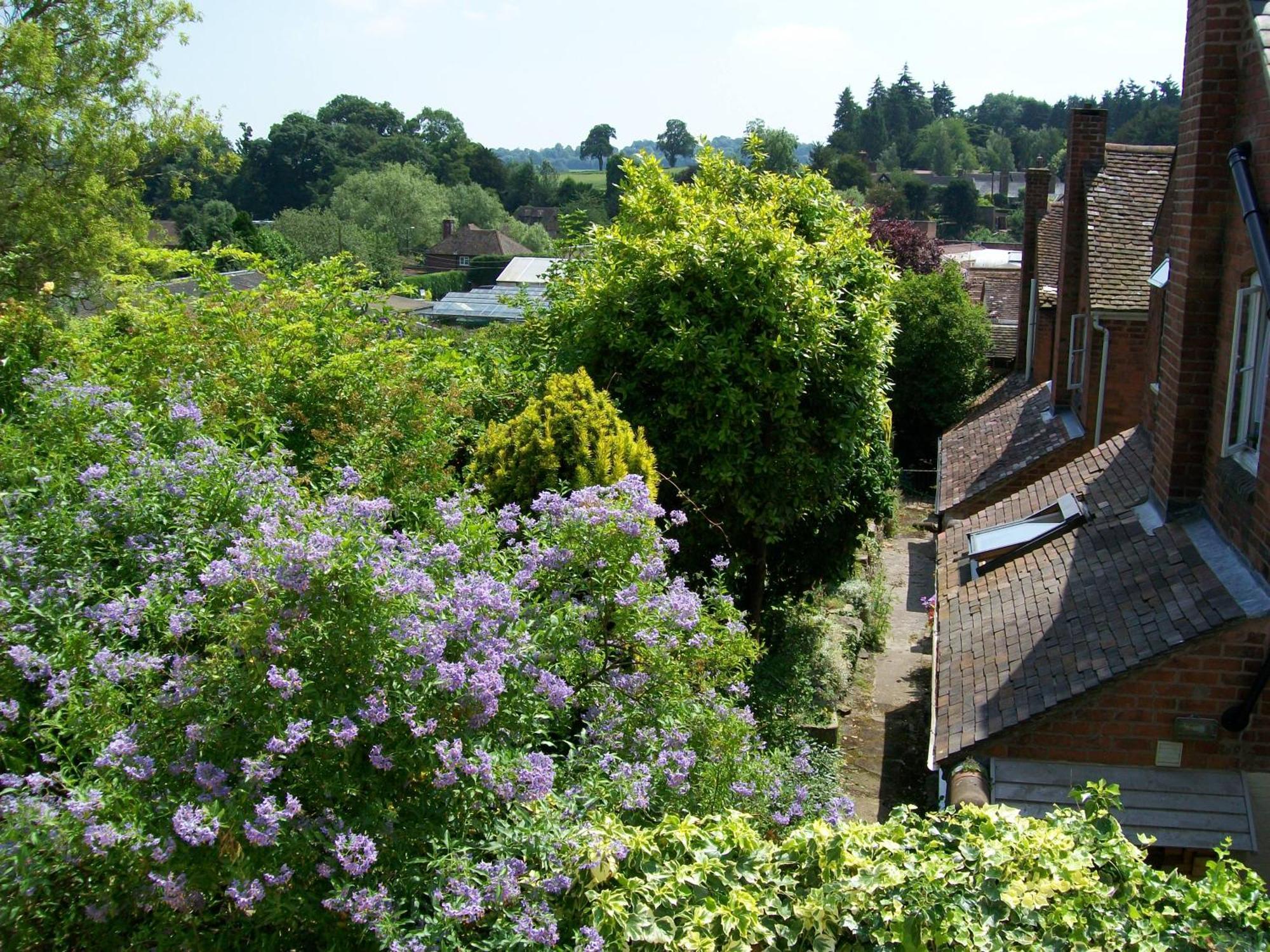 Frog Cottage, Ludlow - A Charming Townhouse For 4 Esterno foto